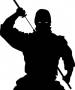 wiki:user:ninja2.jpg